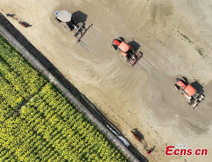 Temporada de lavra da primavera come?a no sudoeste da China