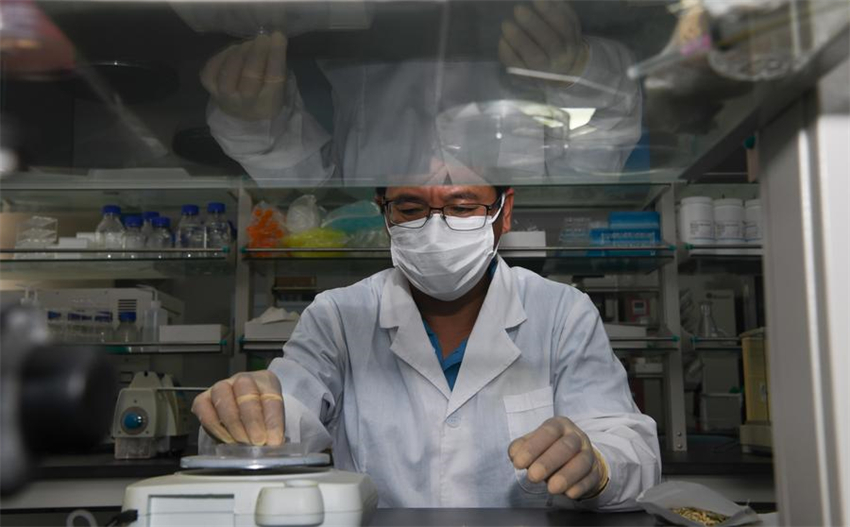 China acelera constru??o do Porto de Livre Comércio de Hainan