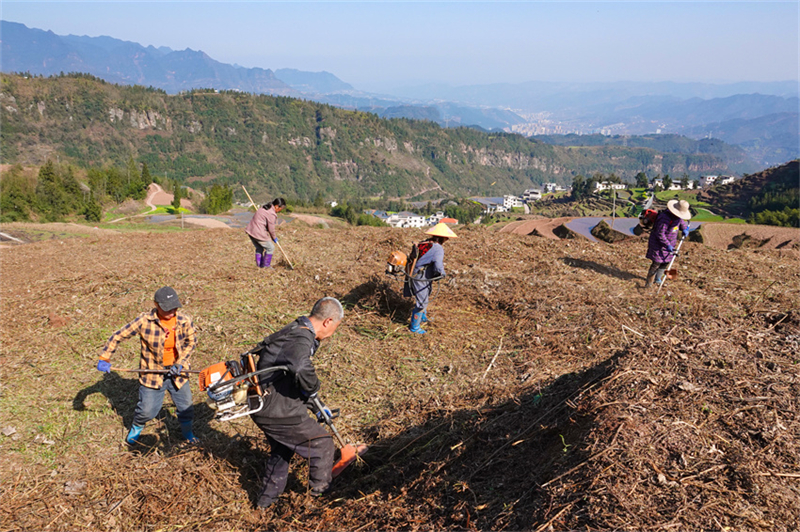Agricultores de Gulin est?o ocupados com plantio da primavera, no sudoeste da China