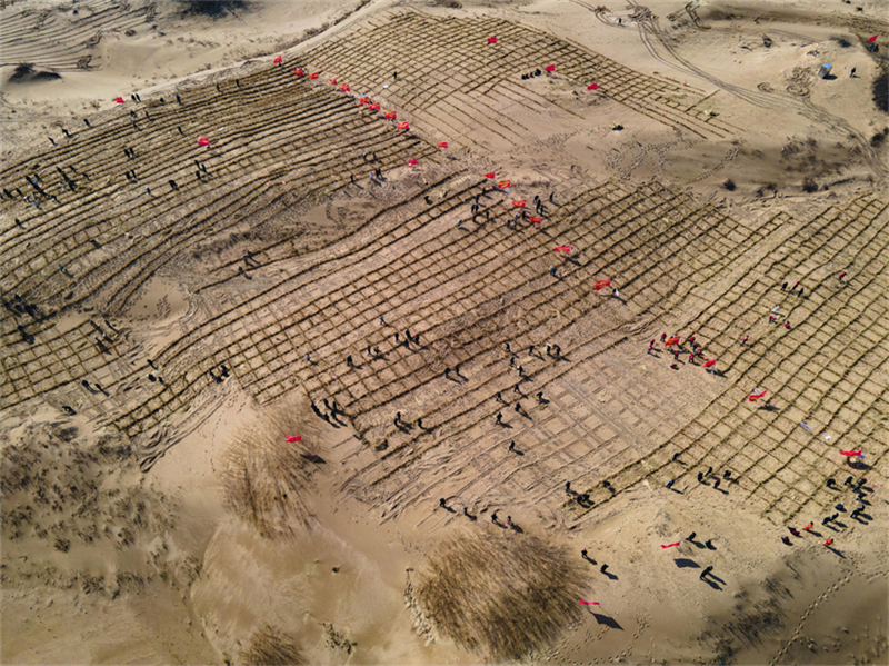 Banner de Aohan, na Mongólia Interior, planta capim para controlar areia