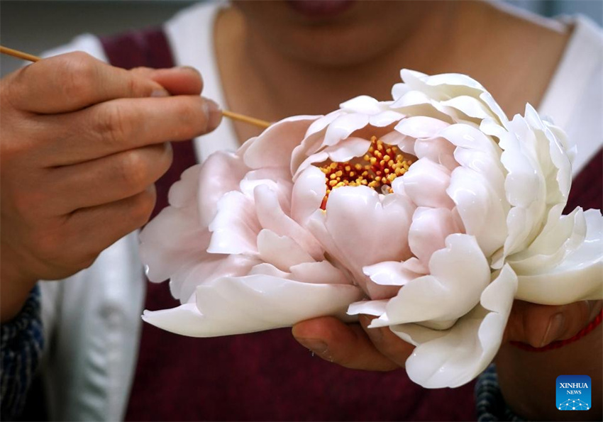 Luoyang explora cultura relacionada às flores de pe?nia
