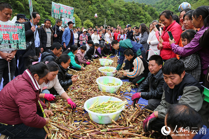 Competi??o de descascamento de brotos de bambu celebra a colheita em Yunnan