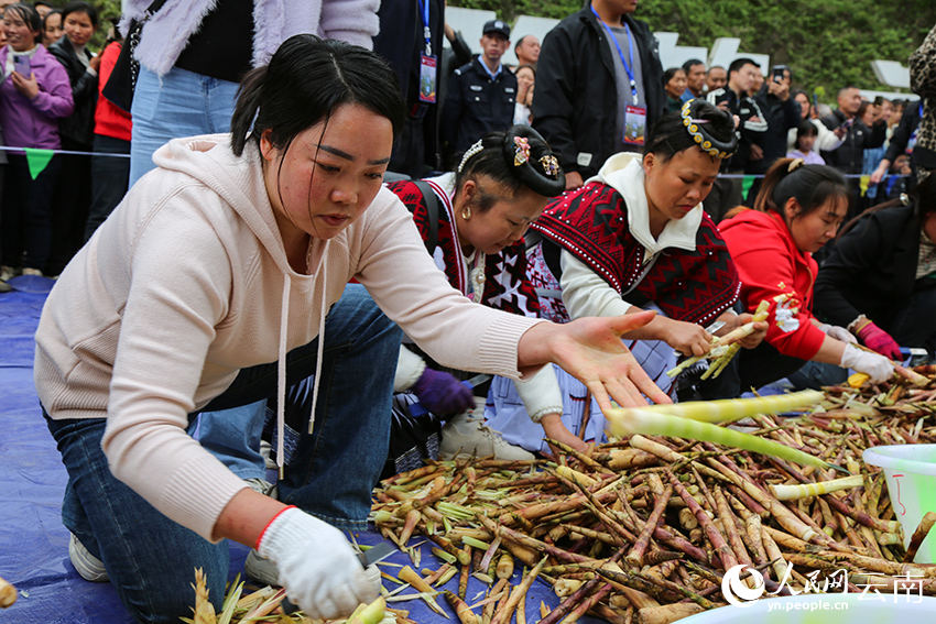 Competi??o de descascamento de brotos de bambu celebra a colheita em Yunnan