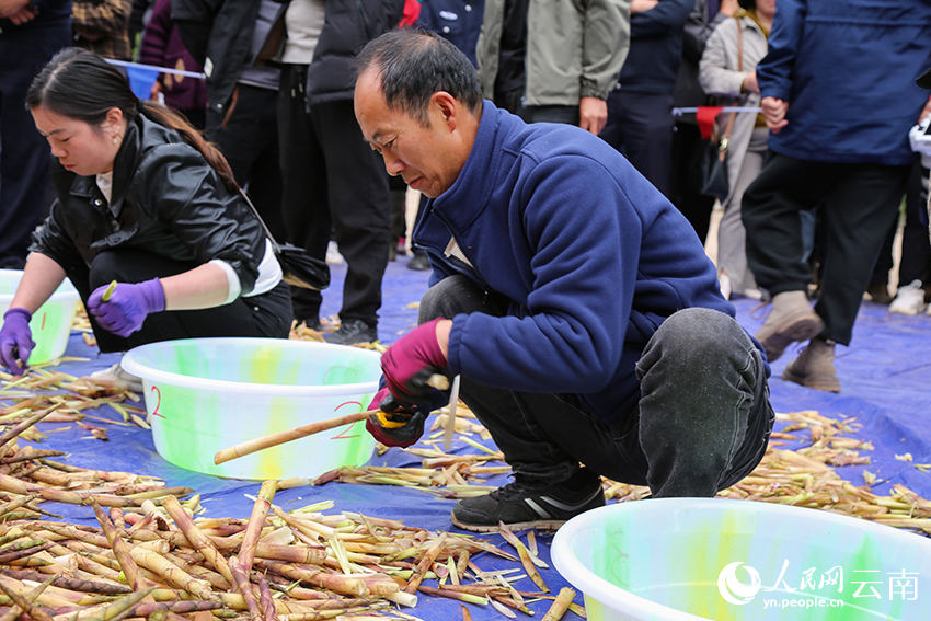 Competi??o de descascamento de brotos de bambu celebra a colheita em Yunnan