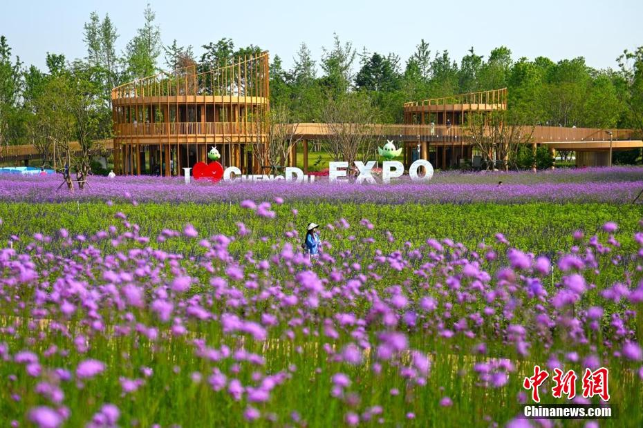 Exposi??o Mundial de Horticultura de Chengdu 2024 é aberta ao público
