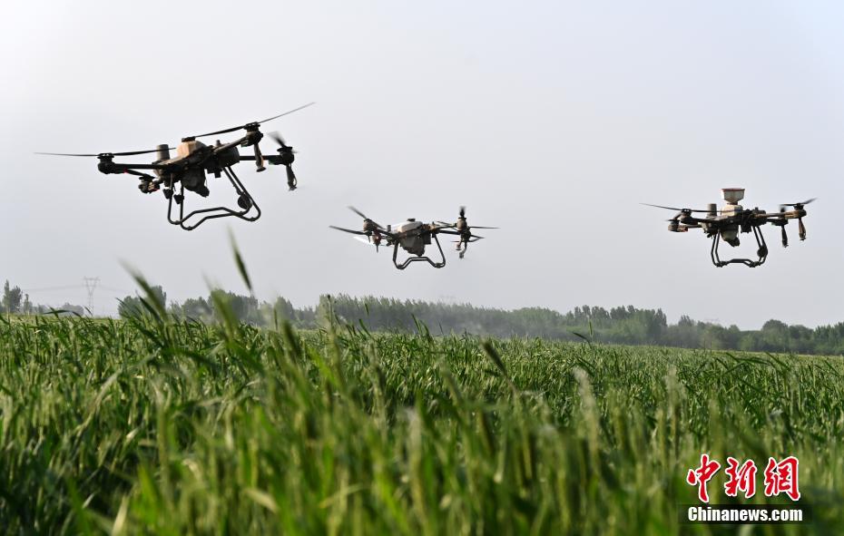 Hebei usa tecnologia de ponta para auxiliar nas opera??es agrícolas de campo