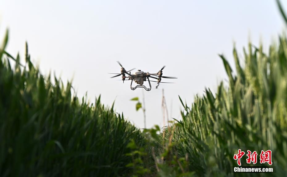 Hebei usa tecnologia de ponta para auxiliar nas opera??es agrícolas de campo