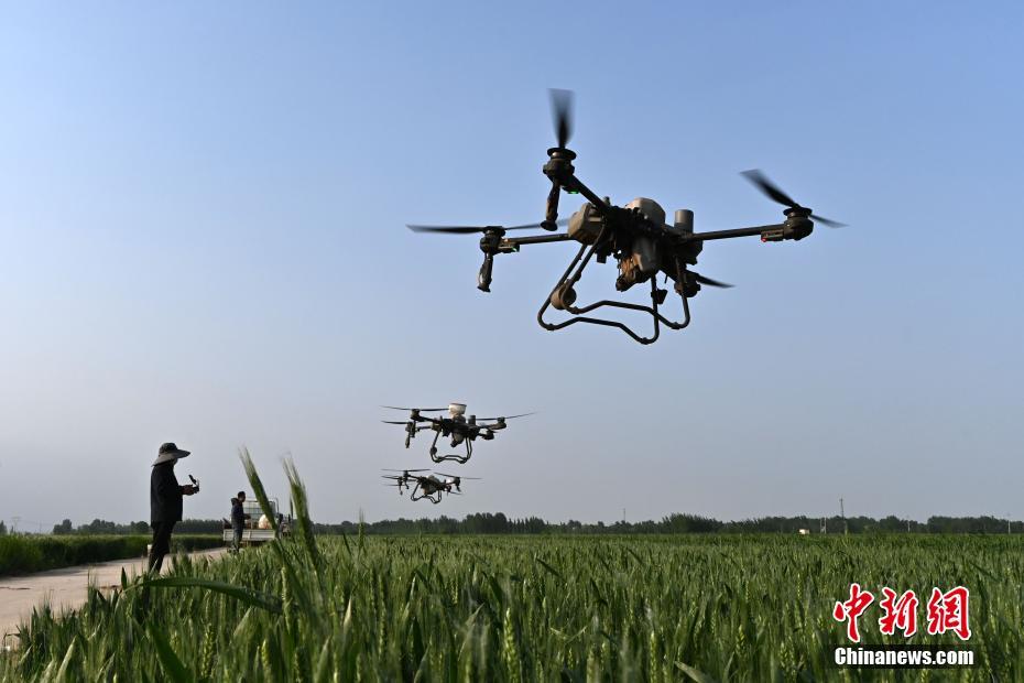 Hebei usa tecnologia de ponta para auxiliar nas opera??es agrícolas de campo