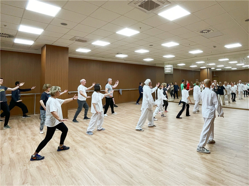 Galeria: cursos do Centro Cultural Chinês em Belgrado populares entre a popula??o local