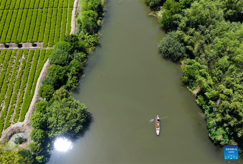 Parque nacional de zonas úmidas de Zhejiang realiza esfor?os para melhorar ambiente ecológico