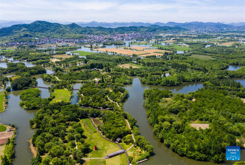 Parque nacional de zonas úmidas de Zhejiang realiza esfor?os para melhorar ambiente ecológico