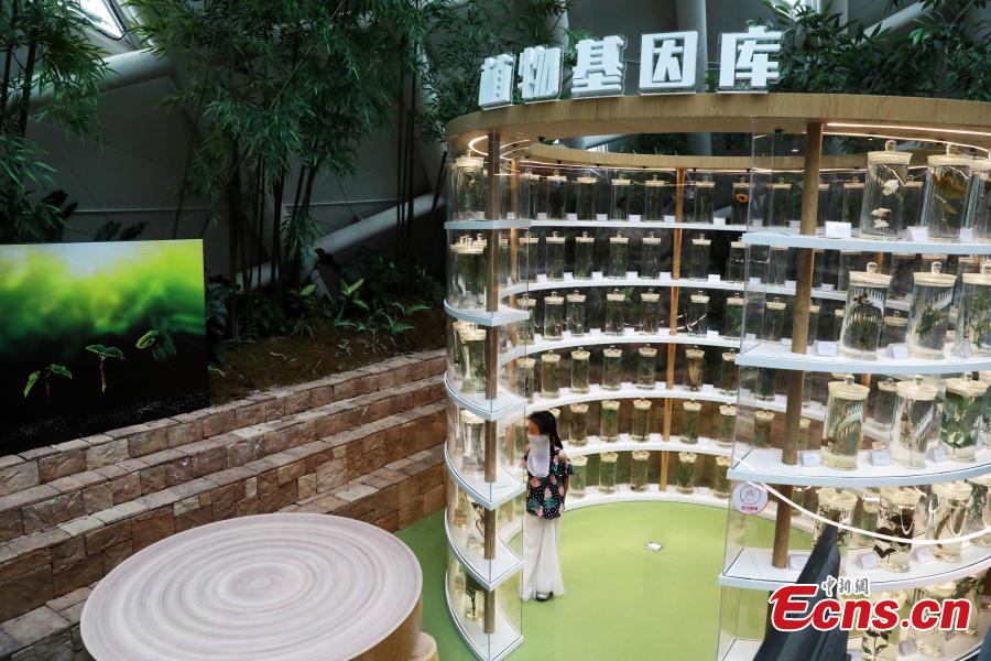 Explorando a biodiversidade na Exposi??o Internacional?de Horticultura?2024?em?Chengdu