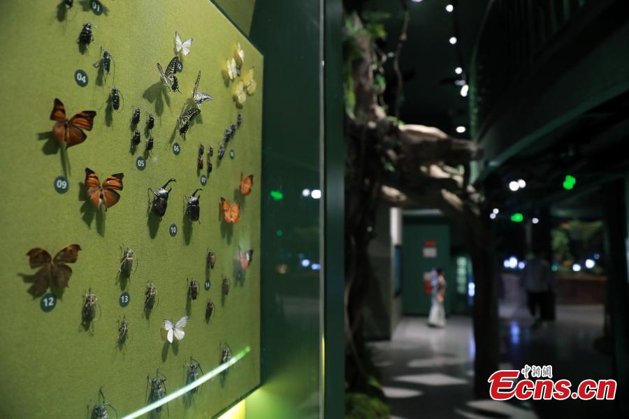 Explorando a biodiversidade na Exposi??o Internacional?de Horticultura?2024?em?Chengdu