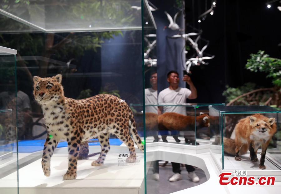 Explorando a biodiversidade na Exposi??o Internacional?de Horticultura?2024?em?Chengdu