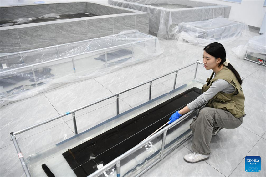 Escava??o arqueológica na tumba de Wuwangdun em Anhui produz descobertas importantes