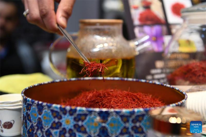 Destaques da 8a Expo China-Rússia