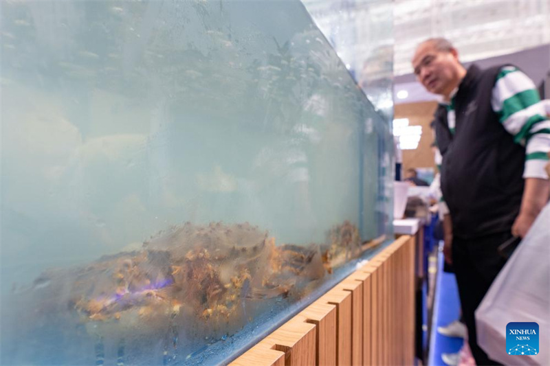 Destaques da 8a Expo China-Rússia