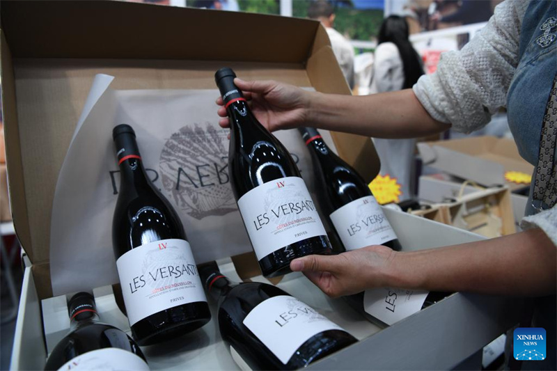 Destaques da 8a Expo China-Rússia