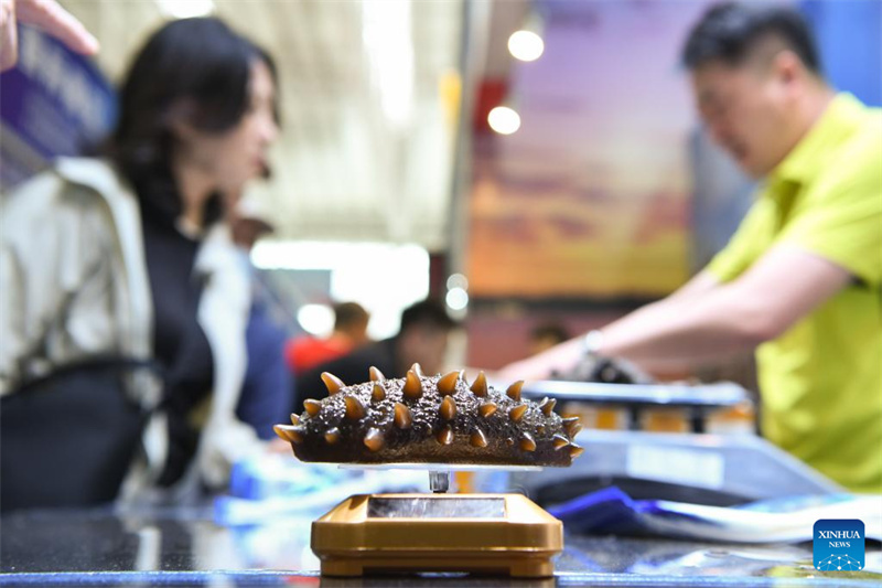 Destaques da 8a Expo China-Rússia