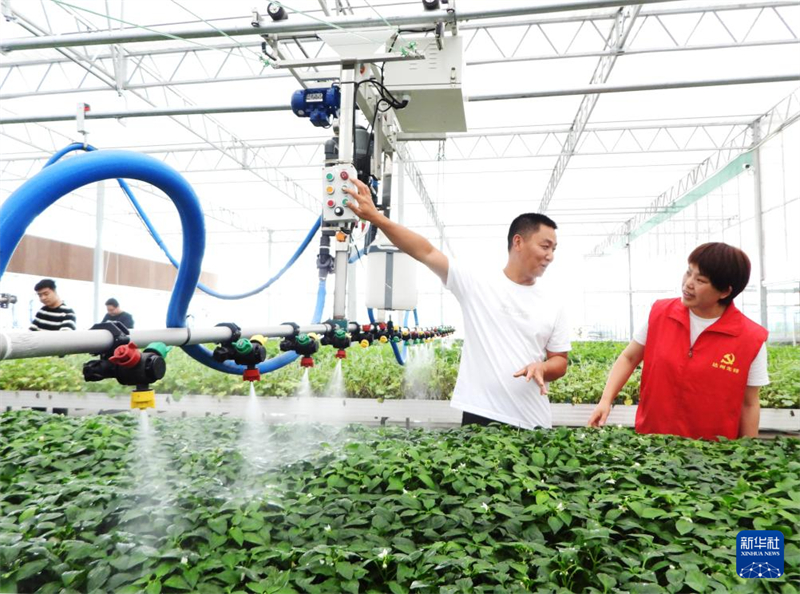 Desenvolvimento digital impulsiona revitaliza??o rural em Dazhou, no sudoeste da China