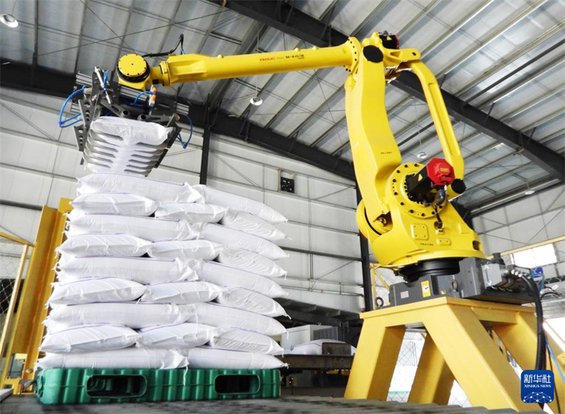 Desenvolvimento digital impulsiona revitaliza??o rural em Dazhou, no sudoeste da China