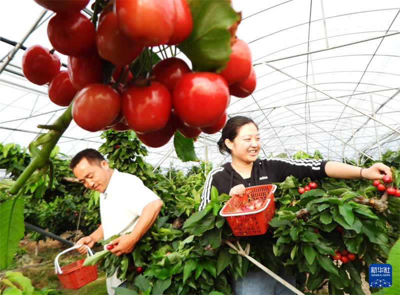 Desenvolvimento digital impulsiona revitaliza??o rural em Dazhou, no sudoeste da China