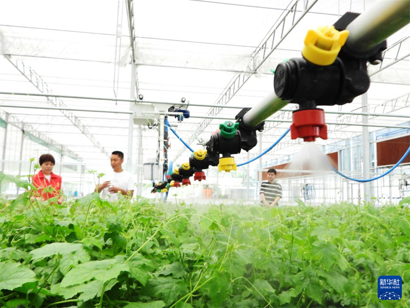 Desenvolvimento digital impulsiona revitaliza??o rural em Dazhou, no sudoeste da China