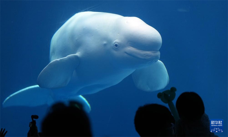 Início do ver?o traz alta temporada turística para Dalian, cidade no nordeste da China