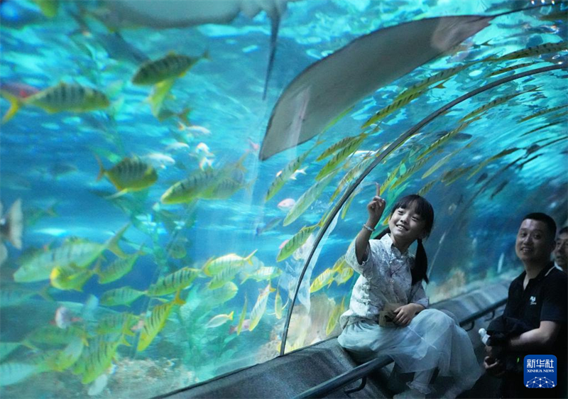 Início do ver?o traz alta temporada turística para Dalian, cidade no nordeste da China