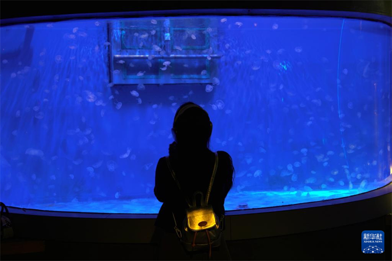 Início do ver?o traz alta temporada turística para Dalian, cidade no nordeste da China