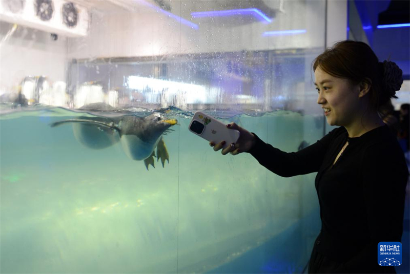 Início do ver?o traz alta temporada turística para Dalian, cidade no nordeste da China