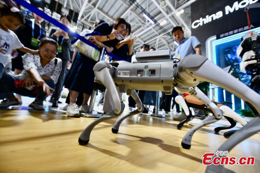 7a Cúpula Digital da China come?a no leste da China