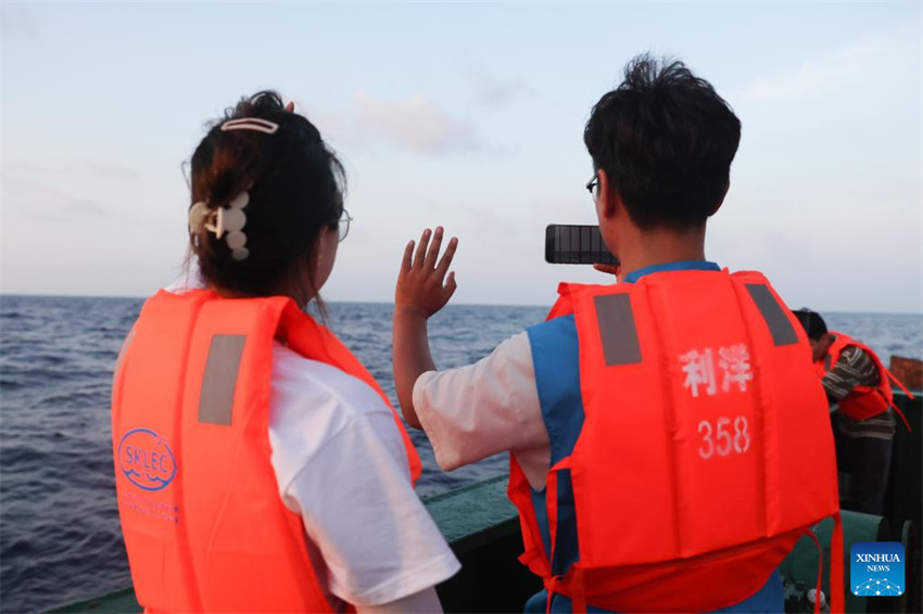 Baleia resgatada é libertada no sul da China