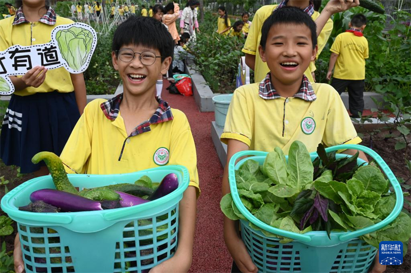 China realiza atividades infantis em todo o país para celebrar Dia Internacional da Crian?a