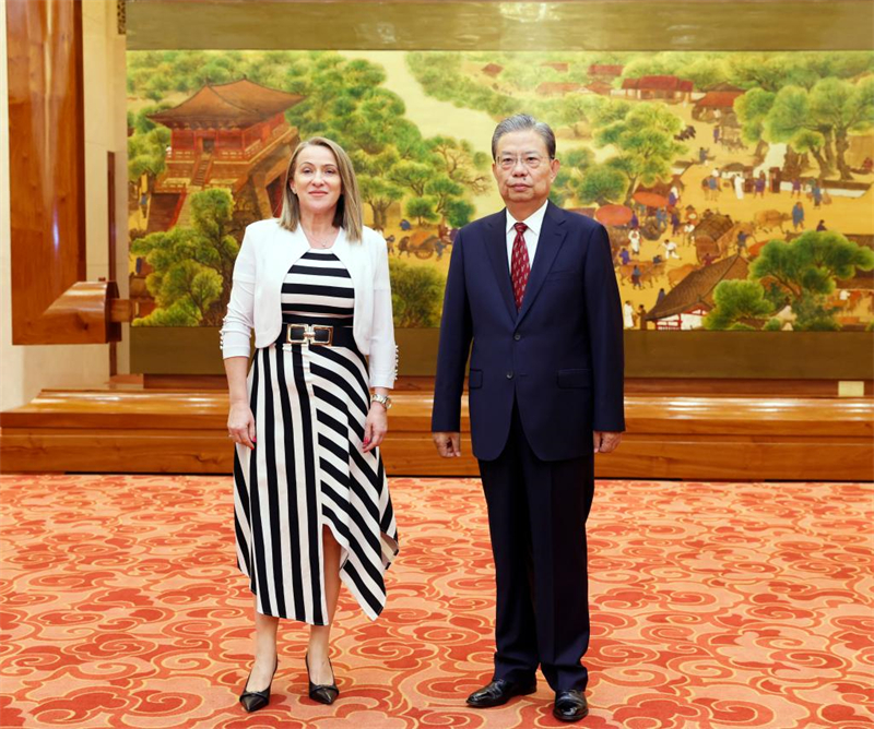 Chefe do Legislativo chinês se reúne com delega??o parlamentar sérvia