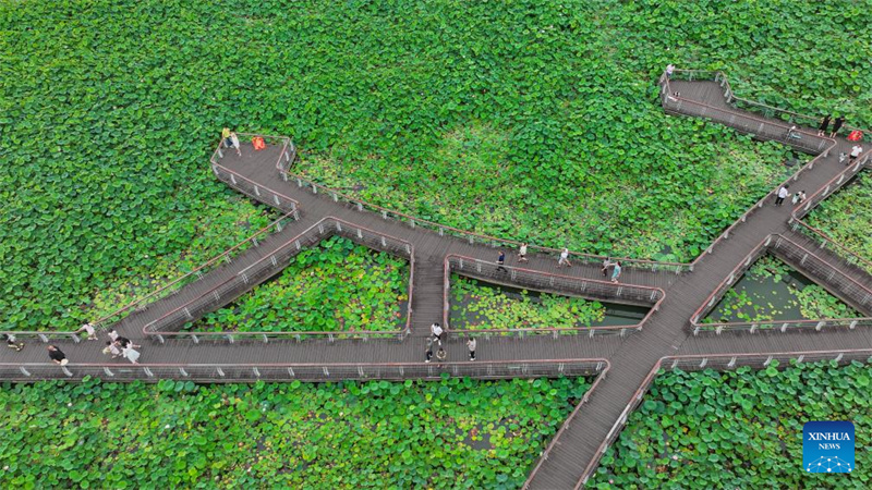 China apura 110 milh?es de viagens turísticas domésticas durante feriado do Festival do Barco-Drag?o