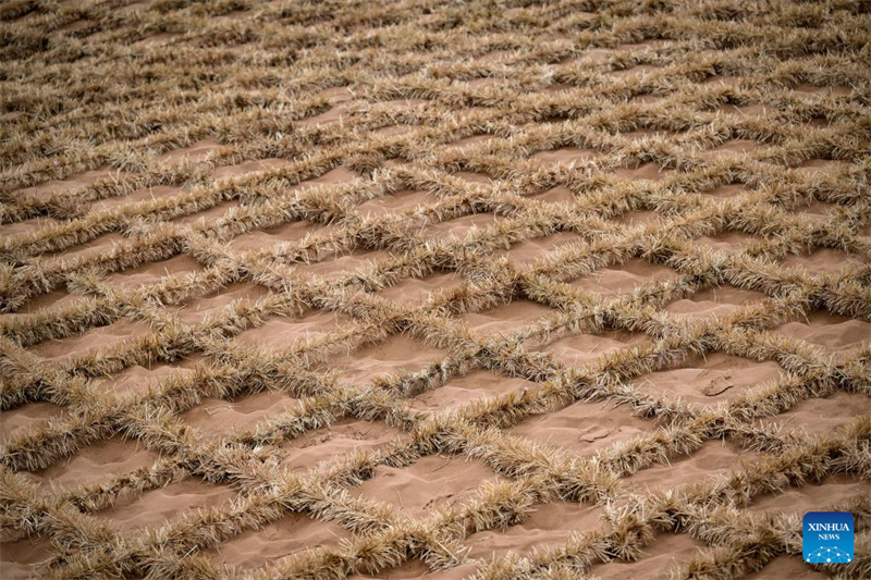 Ferramentas e tecnologias inovadoras contribuem para o controle de areia no noroeste da China