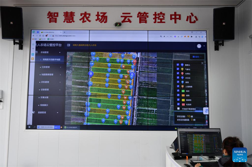 Planta??o de arroz verde e agricultura inteligente impulsionam desenvolvimento agrícola na China