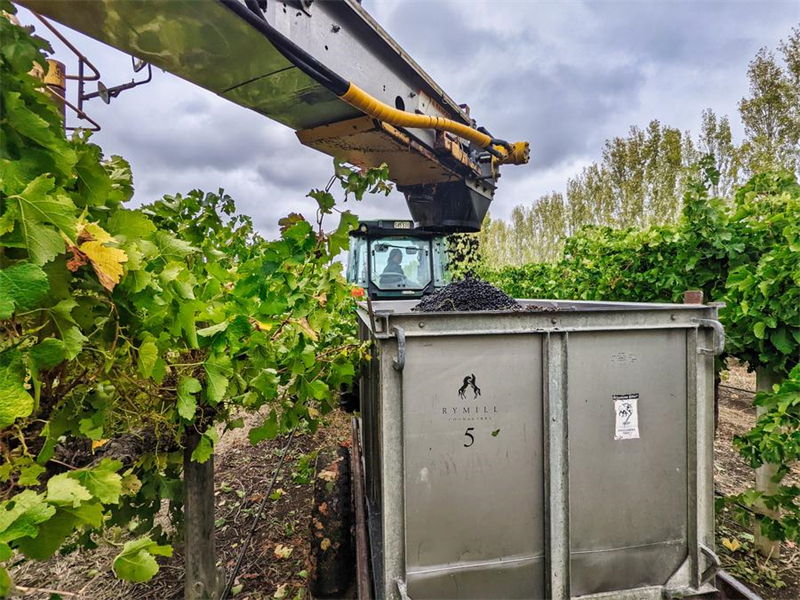 Galeria: vinho australiano pauta evolu??o do comércio sino-australiano