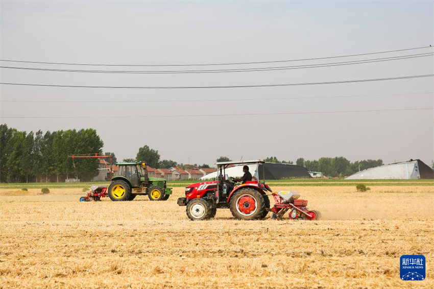 China inicia alta temporada de semeadura de ver?o
