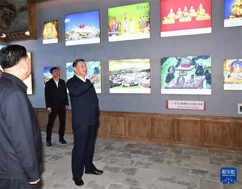 Xi Jinping enfatiza conserva??o da ecologia do Planalto Qinghai-Xizang e desenvolvimento de alta qualidade