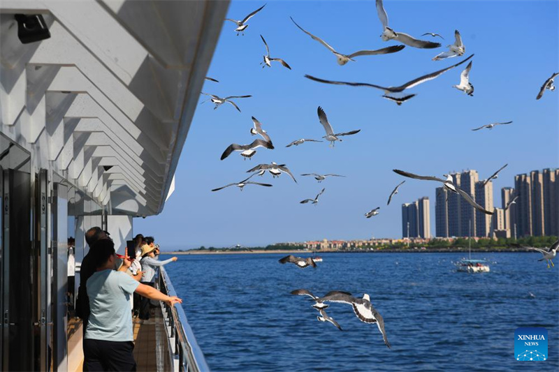 Fórum de Davos de Ver?o 2024 será realizado na cidade costeira chinesa de Dalian