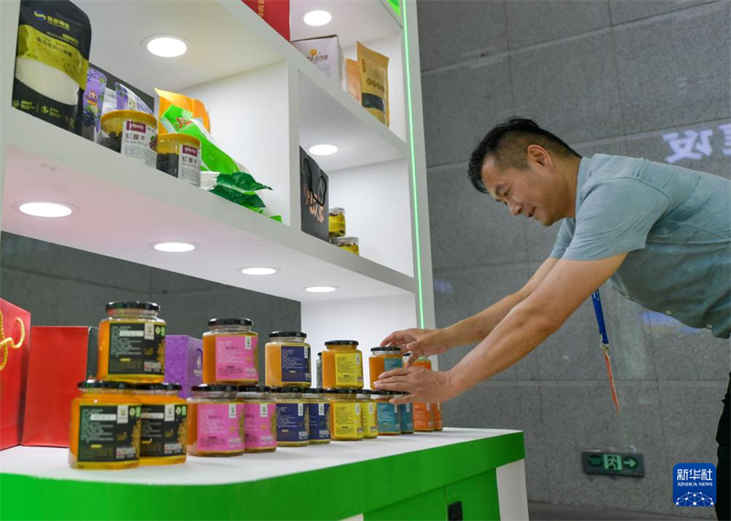 8a Expo China-Eurásia será realizada em Xinjiang