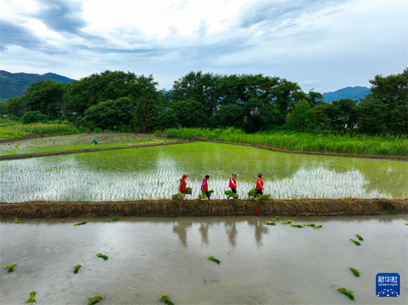 Províncias chinesas registram recupera??o gradual após desastres naturais