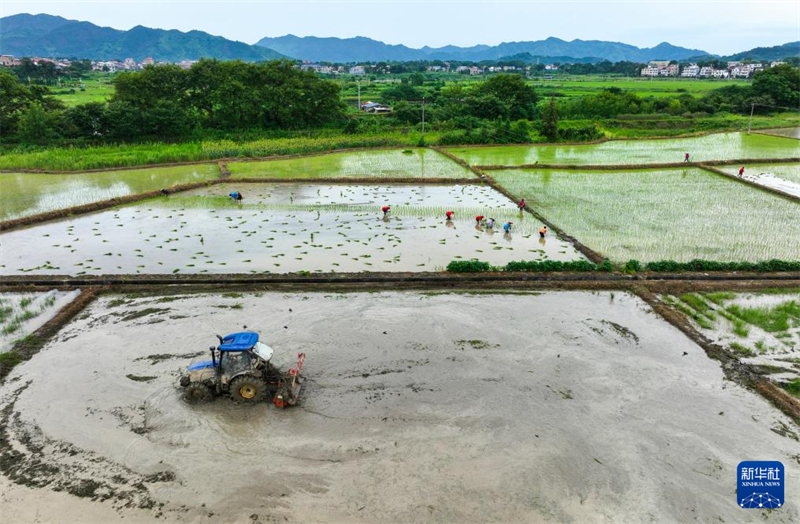Províncias chinesas registram recupera??o gradual após desastres naturais