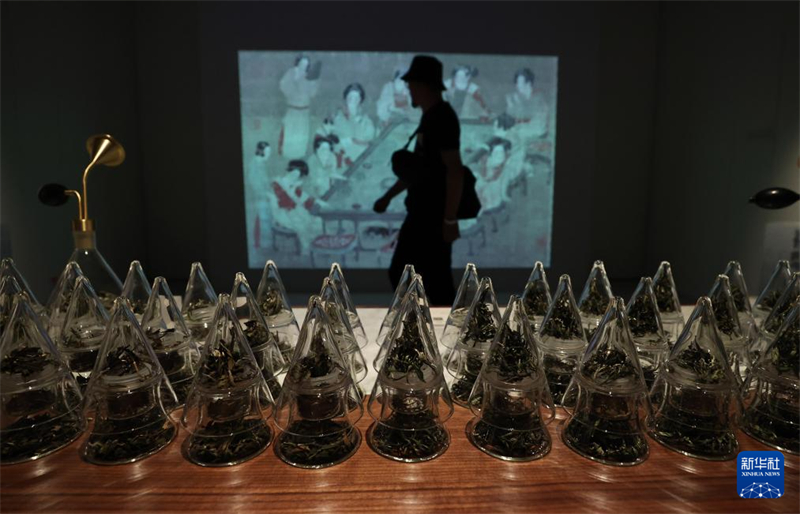 Exposi??o de patrim?nio cultural imaterial e obras contemporaneas da China é inaugurada em Paris