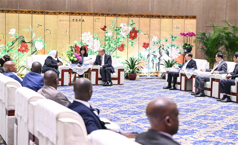 China está disposta a promover moderniza??o com áfrica, diz vice-premiê