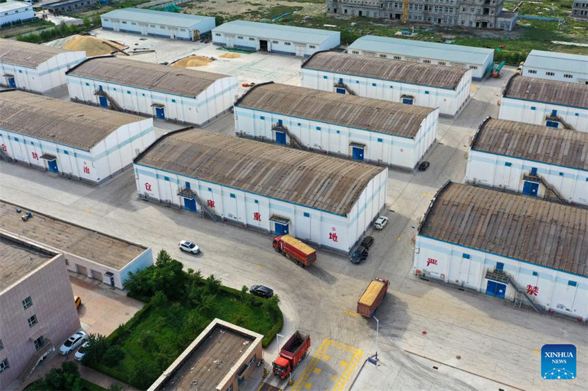 Grande área de produ??o de trigo em Xinjiang entra na temporada de colheita