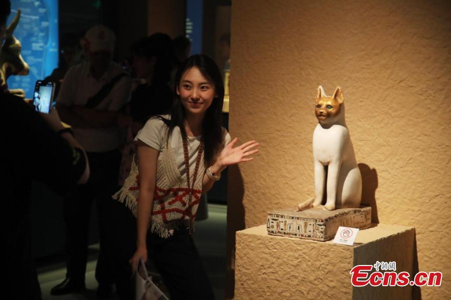 788 artefatos do Antigo Egito brilham em grande exposi??o