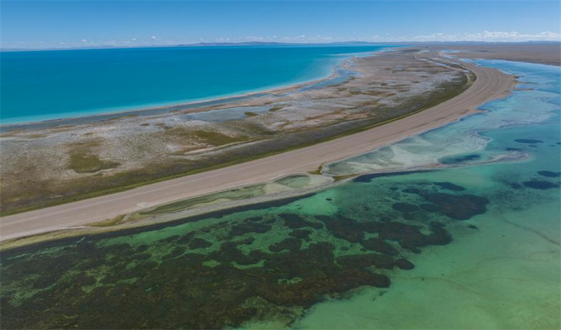 Enfoque: Estudos mostram progresso significativo na constru??o de barreiras de seguran?a ecológica em Xizang